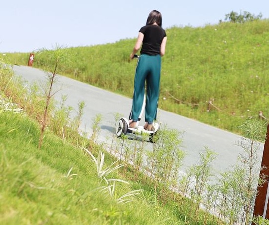 Сигвей Shen SY9