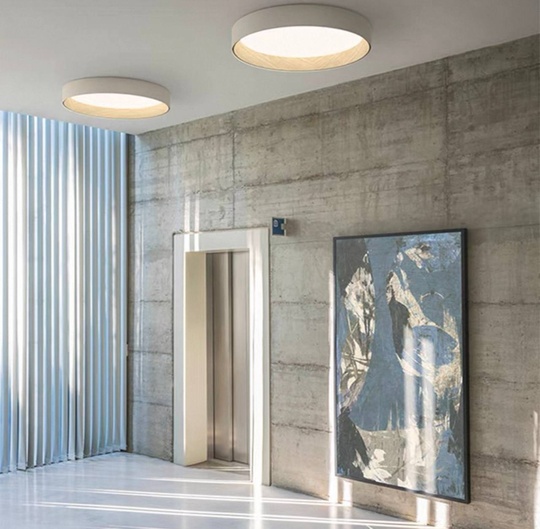 Потолочный светильник белый Elystran, металл, 33*13 см, светодиодная, LED