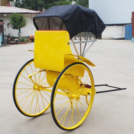 Рикша Карета Erast