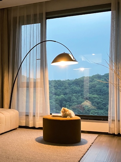 Торшер MOON SHADOW, черный, E27