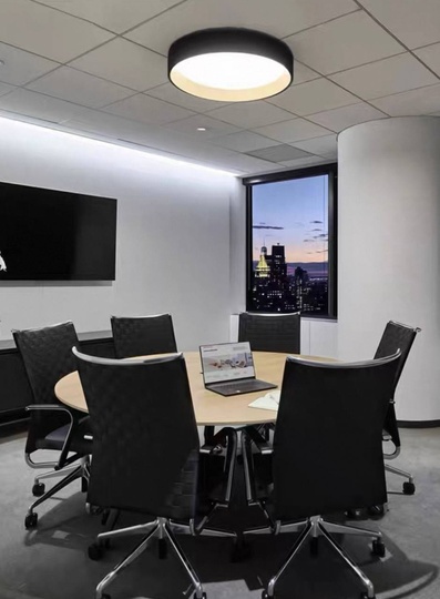 Потолочный светильник черный Elystrix, металл, 46*13 см, светодиодная, LED