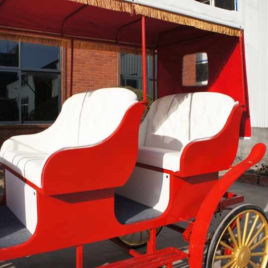 Рикша Карета Jinhua