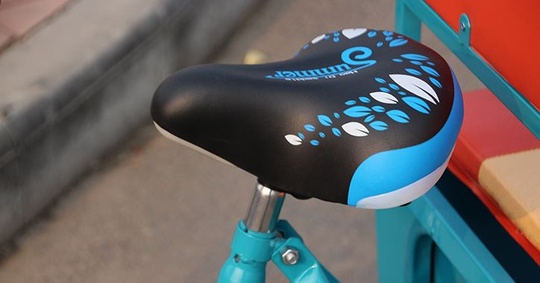 Велорикша Трехколесная HYD