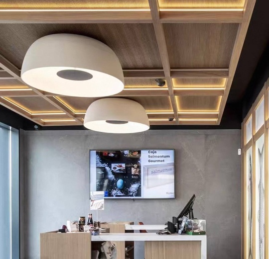 Потолочный светильник белый Elixura, металл, 41.2*19.5 см, светодиодная, LED