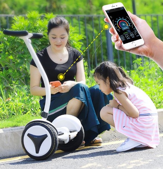 Сигвей Shen SY9