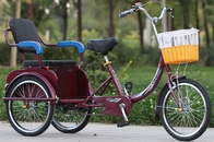 Велорикша Rickshaw китай 196*70*100 см, нагрузка 170 кг, 2 место, вес 70 кг