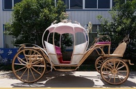 Рикша Карета Feay K2