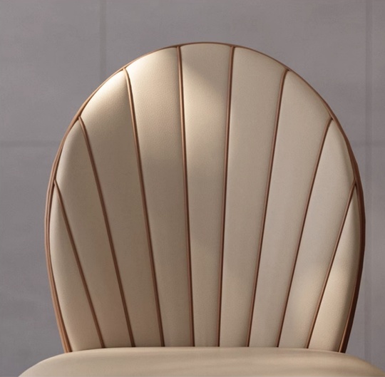 Обеденный стул Auralis 50*86*62 см, кожа - для дома и офиса в итальянском стиле