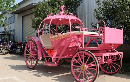 Велорикша 400*170*250 см, максимальная нагрузка 450 кг, 6 место, вес 300 кг