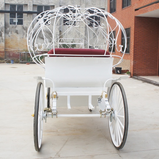 Рикша Карета Cojq