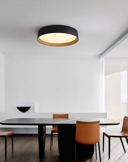 Потолочный светильник черный Elystrix, металл, 46*13 см, светодиодная, LED