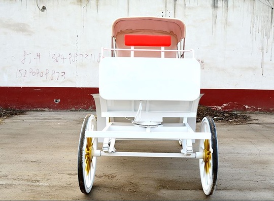 Рикша Карета Meralled