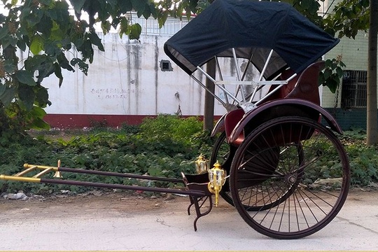 Велорикша Trike 170*120*80 см, максимальная нагрузка 220 кг, вес 130 кг, китайская сборка