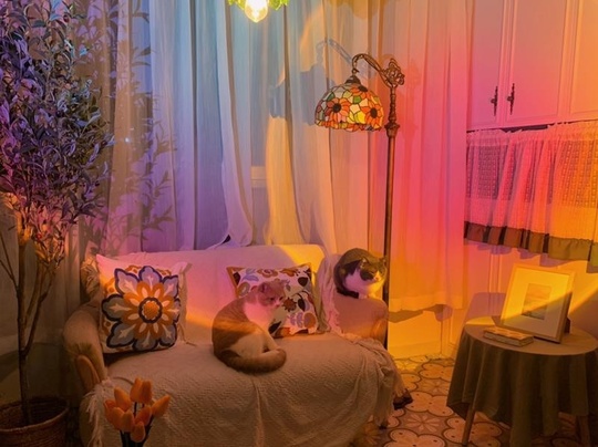 оптический светильник Halo