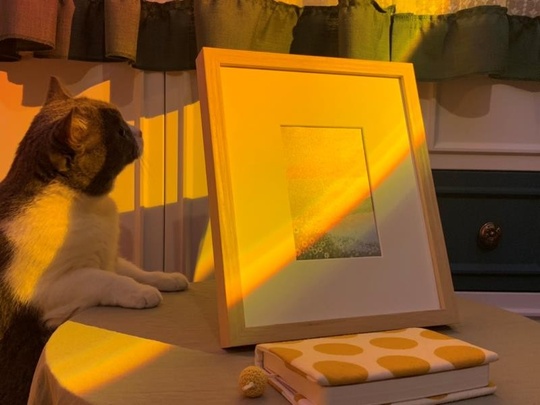 оптический светильник Halo