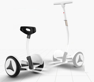 Сигвей Shen SY9