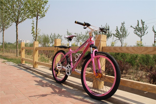 Горный Велосипед Adelante