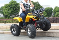 Электроквадроцикл C2