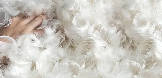 Кресло Picas, желтое, со съемной подушкой