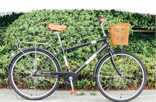 Велосипед FOREVER W3